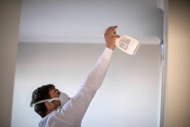 Best Kitchen Mold Remediation in Farmington, MS
