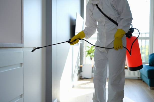 Best Basement Mold Remediation in Farmington, MS