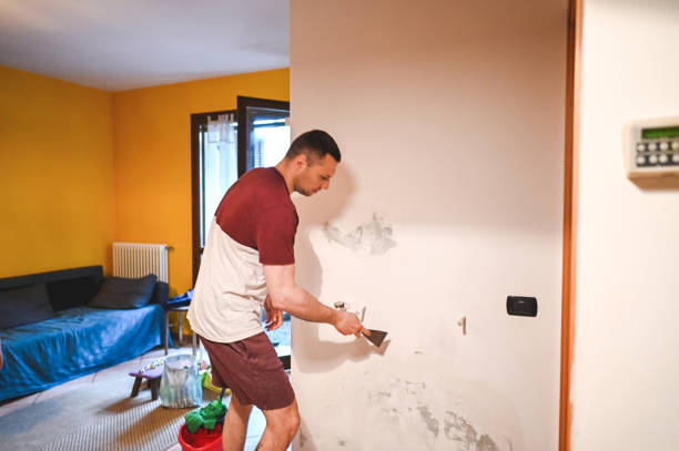 Trusted Farmington, MS Mold Remediation Experts